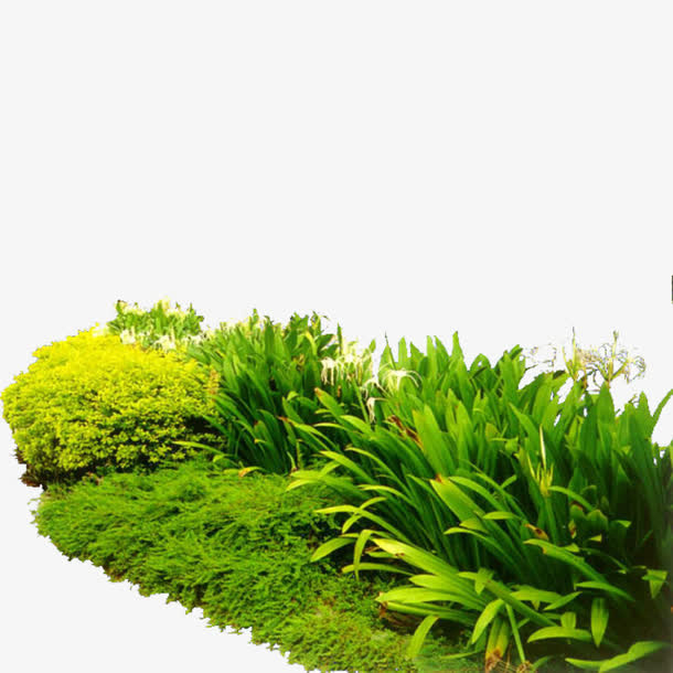 平面灌木丛免抠