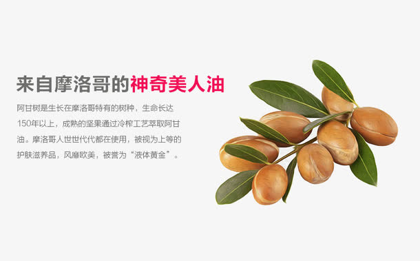 摩洛哥坚果免抠