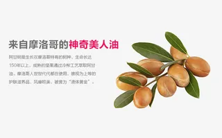 摩洛哥坚果免抠