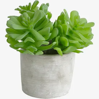 卡通手绘绿色的肉肉盆栽免抠