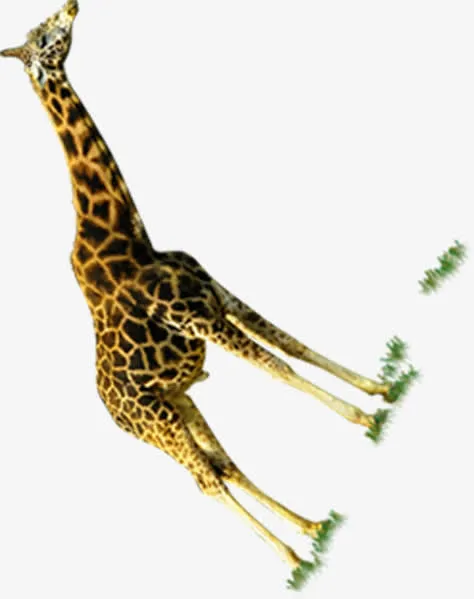 长颈鹿绿色地球素材免抠