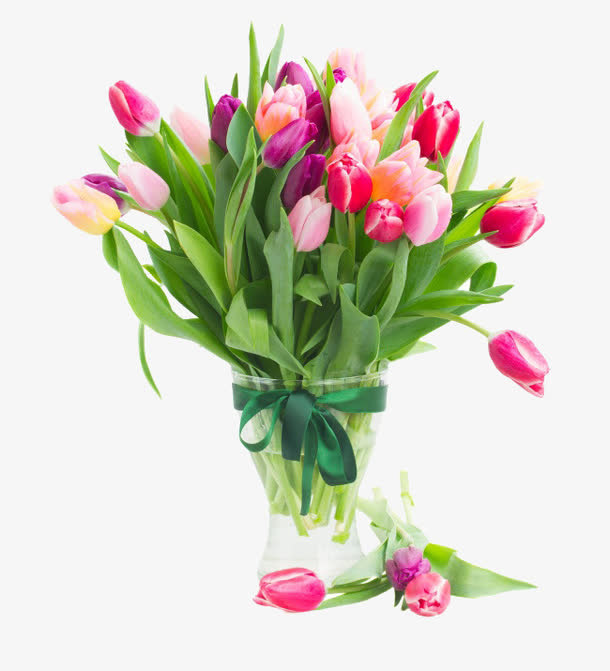 唯美郁金香花盘图片免抠