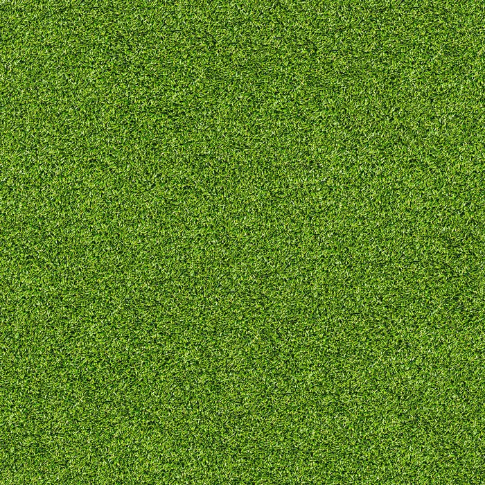 草地 草皮 绿色 小草 绿草 环保高清