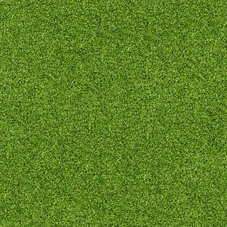 草地 草皮 绿色 小草 绿草 环保高清