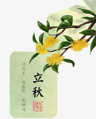 立秋免抠