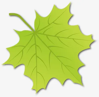 嫩绿色的枫树叶矢量免抠素材免抠漂浮叶子元素