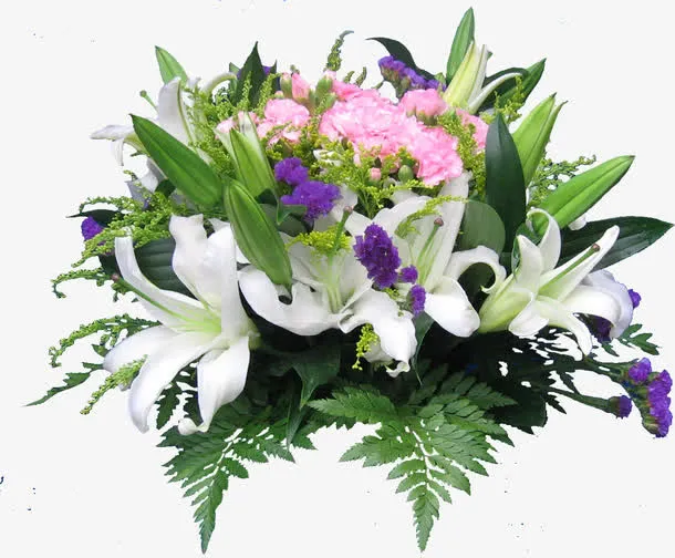白色百合花免抠装饰植物元素