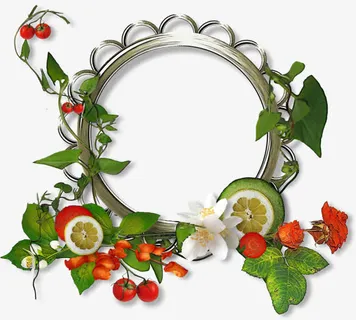 金属圆环水果边框素材免抠