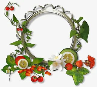 金属圆环水果边框素材免抠