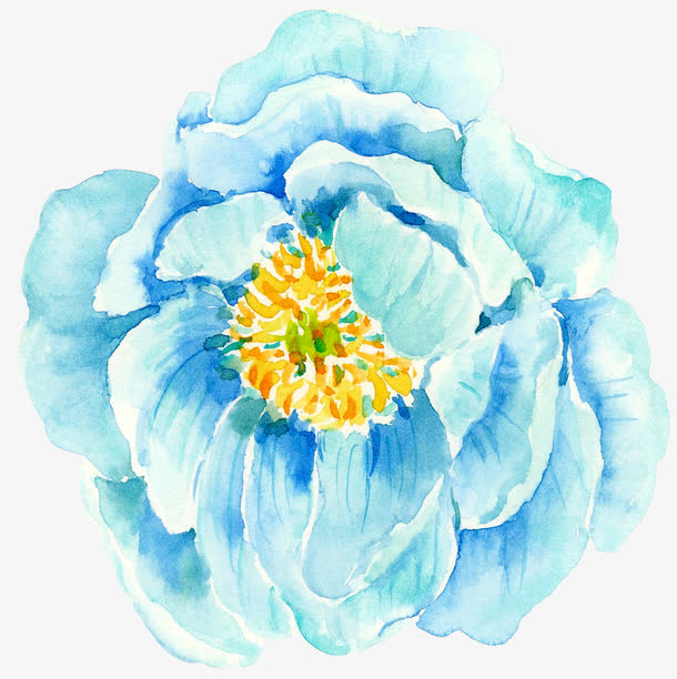 浅蓝色花朵免抠