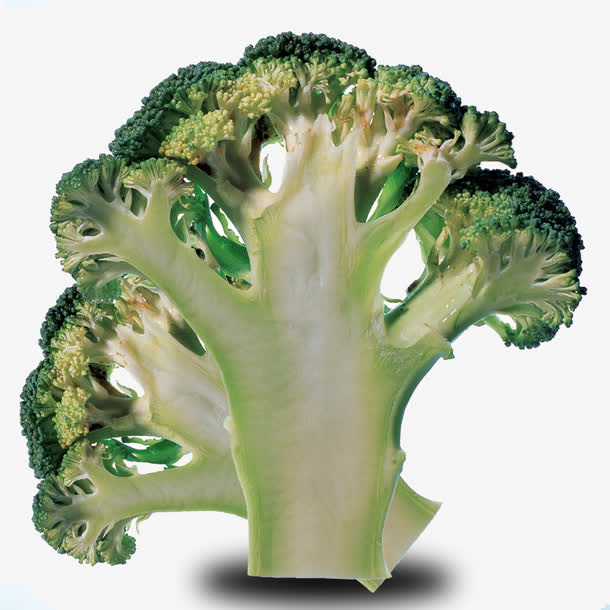 切开的花菜素材免抠