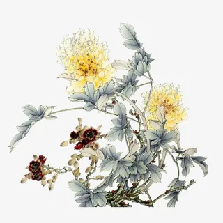 中国风牡丹免抠