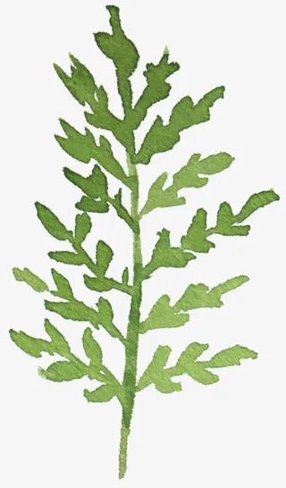 树叶图片树叶飘落免抠