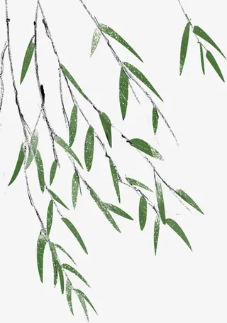 清明节风中的柳叶免抠
