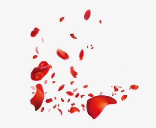情人节玫瑰花瓣漂浮免抠