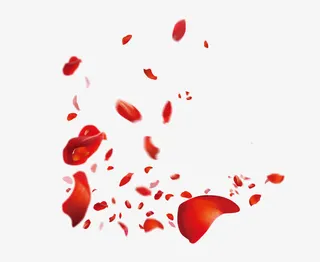 情人节玫瑰花瓣漂浮免抠