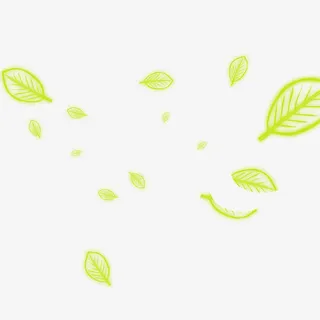 绿色树叶飘落免抠