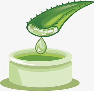 纯植物提炼免抠