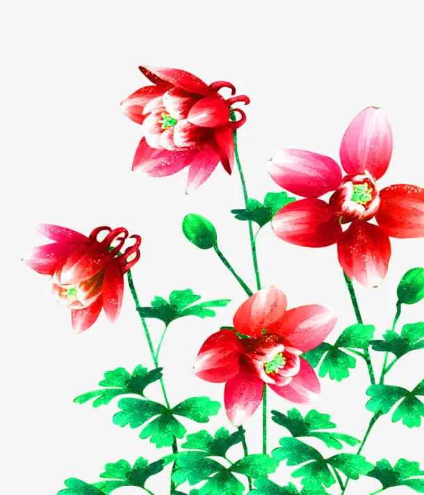 红色小花免抠