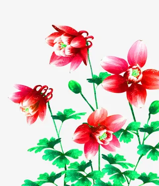 红色小花免抠