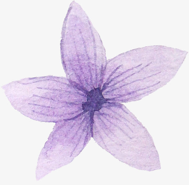 花朵免抠