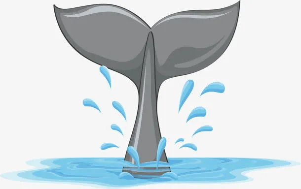 海豚的尾巴免抠