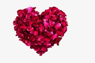 花瓣爱心免抠