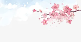 桃花云彩免抠
