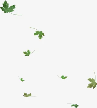 绿色落叶树叶漂浮素材免抠