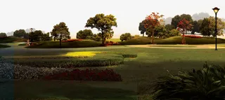 黄昏景观绿化植物免抠