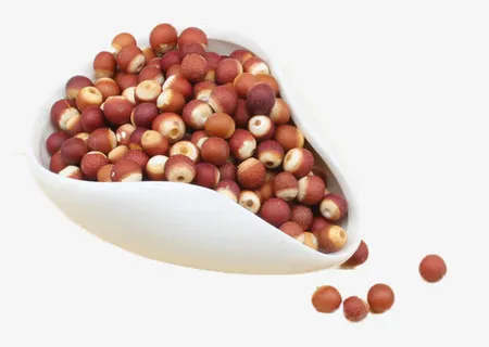 芡实大颗粒红皮免抠 芡实大颗粒红皮免抠