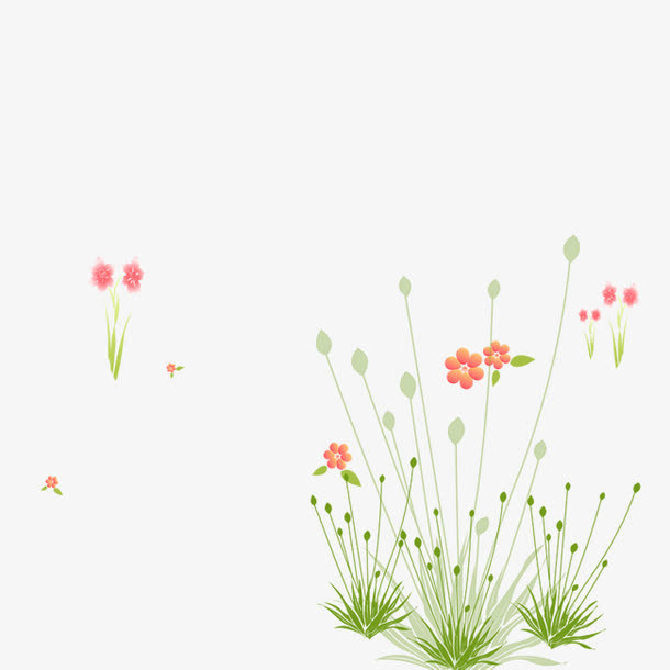 鲜花免抠
