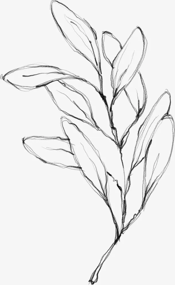 水墨花朵元素66免抠