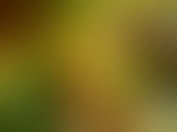渐变颜色模糊背景