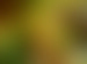 渐变颜色模糊背景