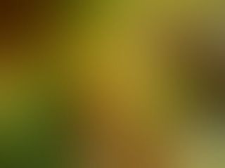 渐变颜色模糊背景