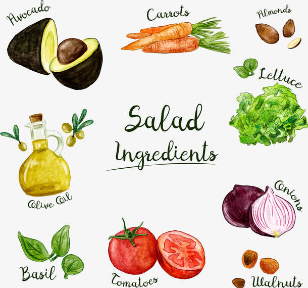 沙拉手绘蔬菜免抠