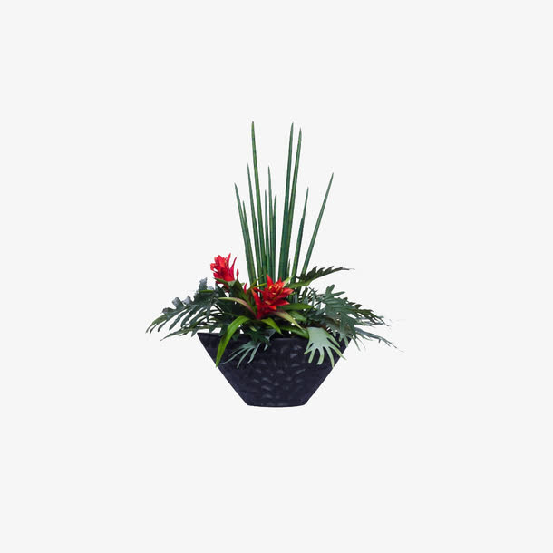 欧美流行插花 绿植物 鲜花软装免抠