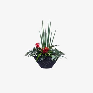 欧美流行插花 绿植物 鲜花软装免抠