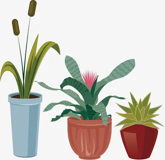矢量手绘植物免抠 矢量手绘植物免抠