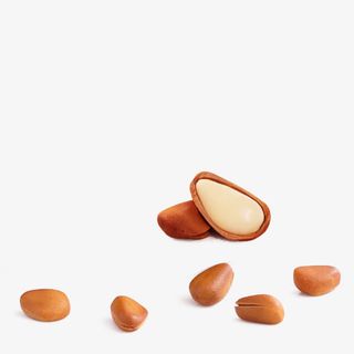 松子图片素材免抠