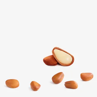 松子图片素材免抠