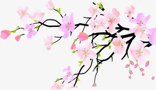 粉色水墨桃花图片素材免抠