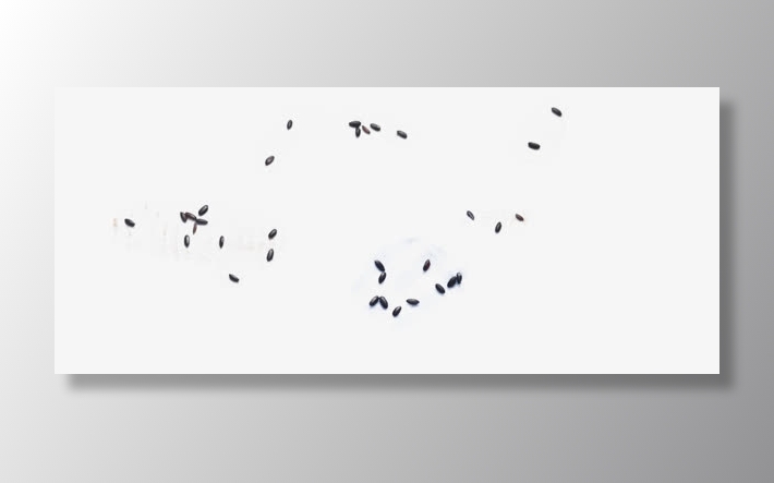 黑色散布小颗粒免抠