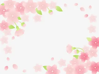 粉色美丽花朵框架免抠