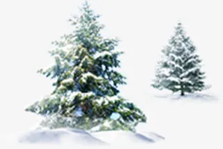 冬日唯美树木风景免抠