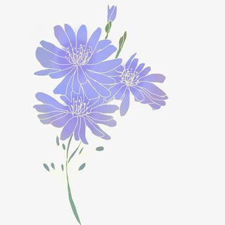 清新小花卡通插画9免抠