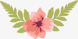 绿叶粉色花朵边框免抠