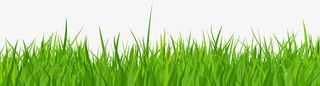 草地绿色边框免抠