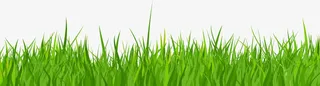 草地绿色边框免抠